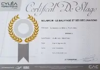 diplome 2019